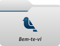 Bem-te-vi